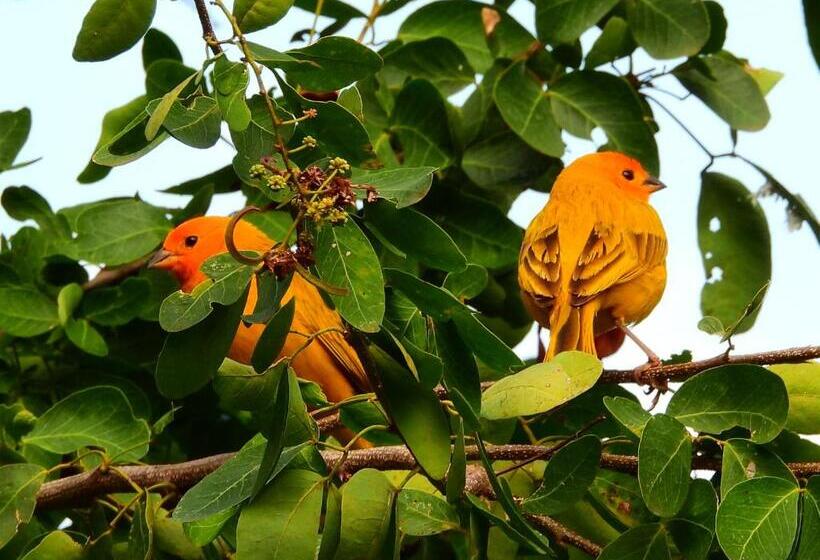 فندق Terra Barichara