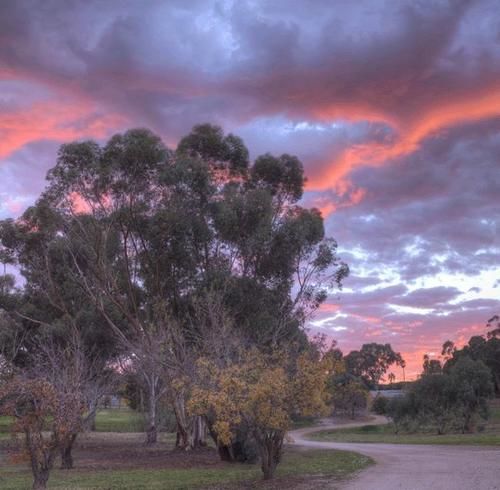 هتل The Lodge Country House