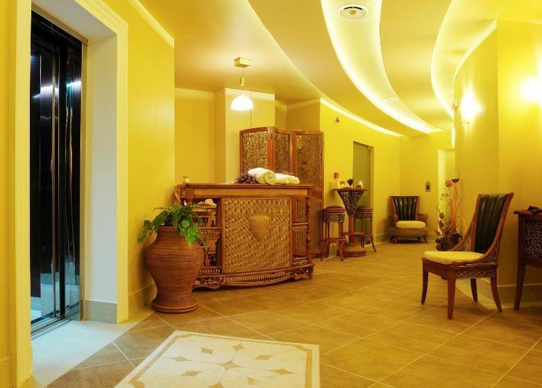هتل The Vineyards Spa & Resort