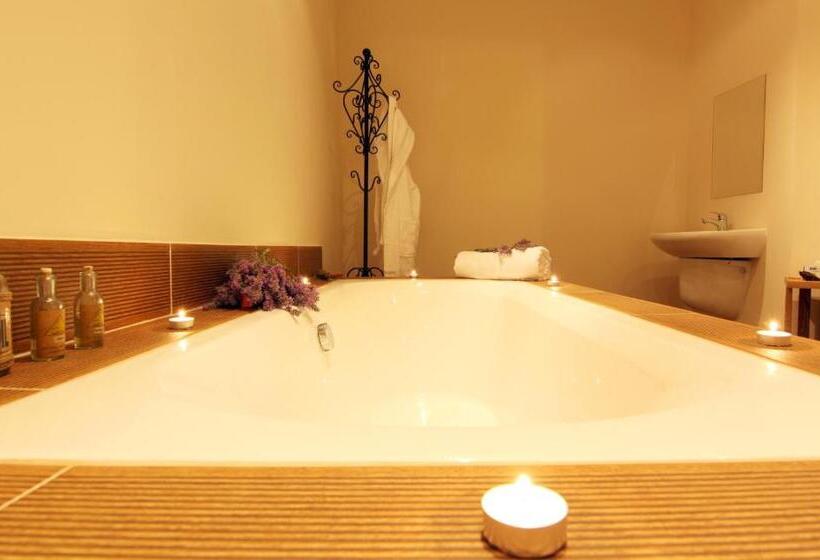 ホテル The Vineyards Spa & Resort