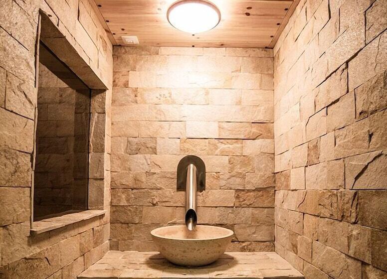 ホテル The Vineyards Spa & Resort