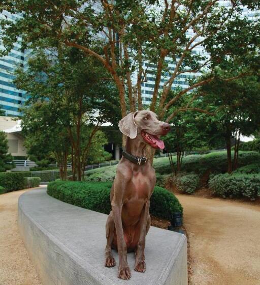 Vdara Hotel & Spa at Aria Las Vegas