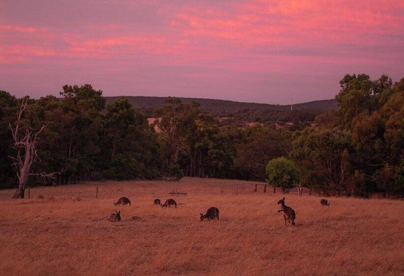 בית מלון כפרי Wildwood Valley