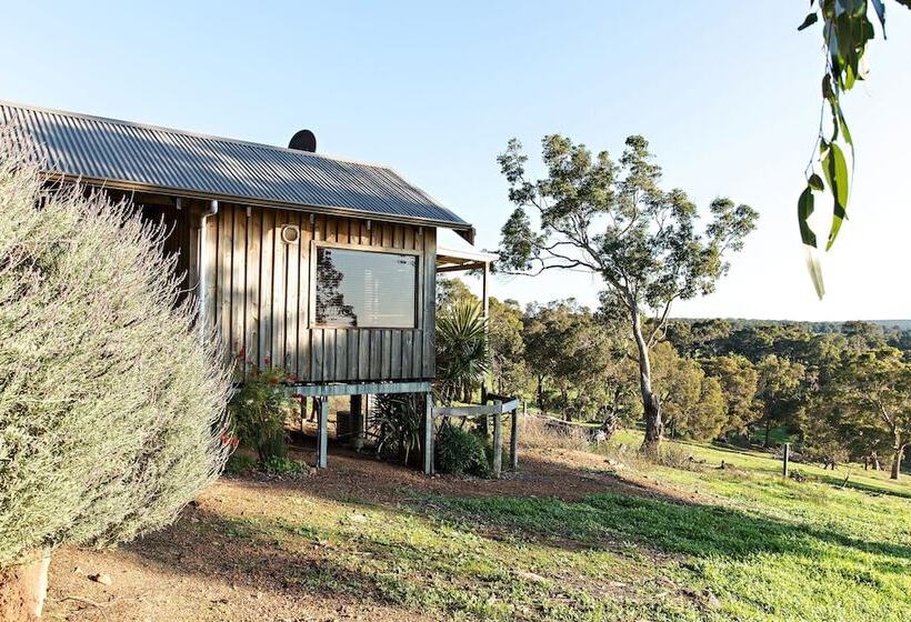 בית מלון כפרי Wildwood Valley