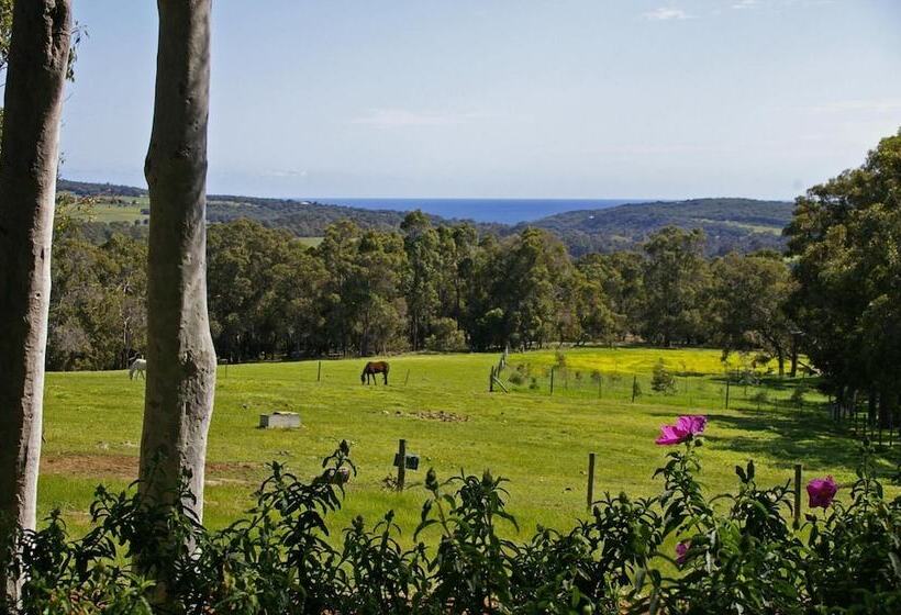 בית מלון כפרי Wildwood Valley