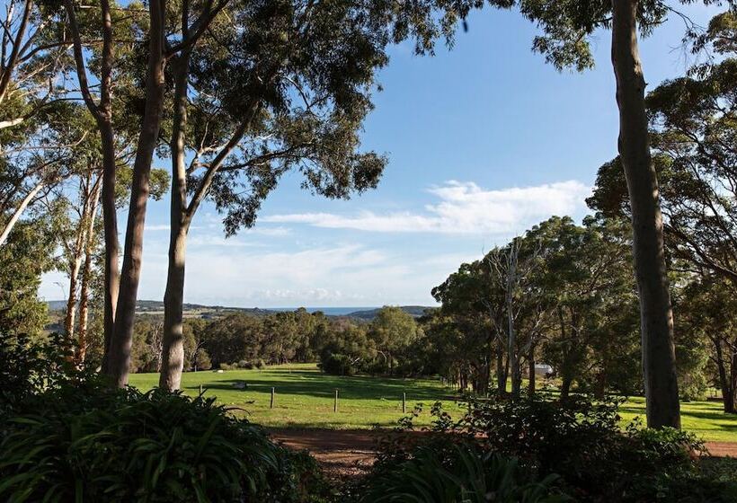 בית מלון כפרי Wildwood Valley