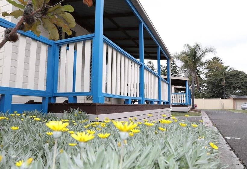 בית מלון כפרי Windang Tourist Park