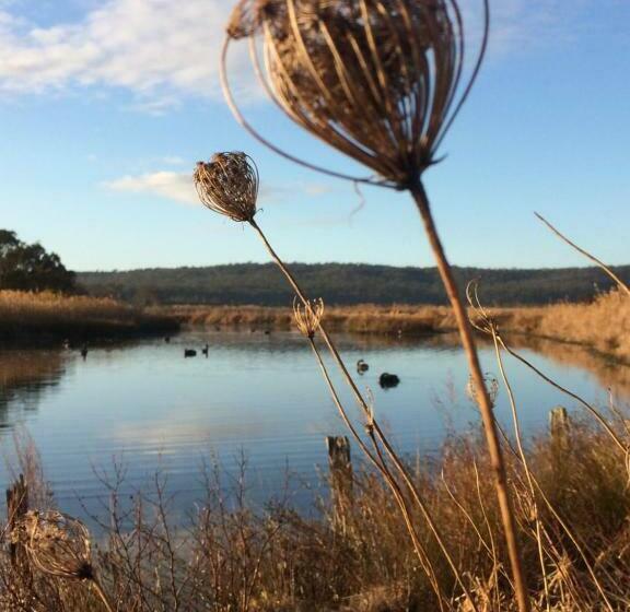 מוטל Idlewilde Country & Town Motorinn