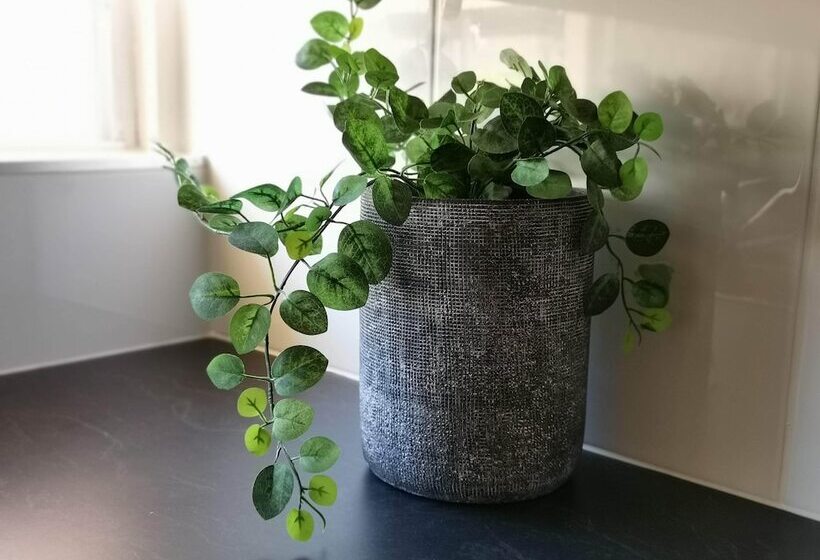 Palm Waters Holiday Villas