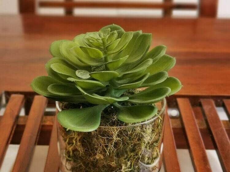 Palm Waters Holiday Villas