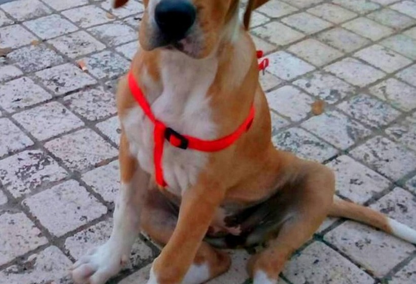 Paradise Beach Hostel