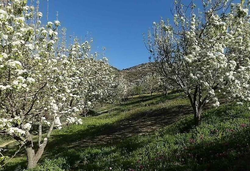بنسيون Arodamos Traditional Houses