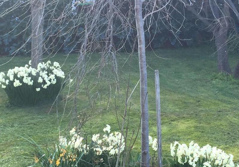 Пансион Clydesdale Manor