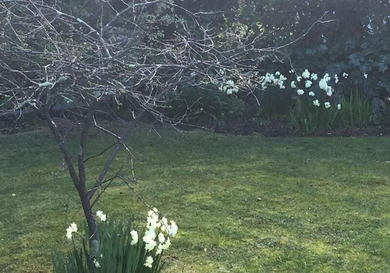 Пансион Clydesdale Manor