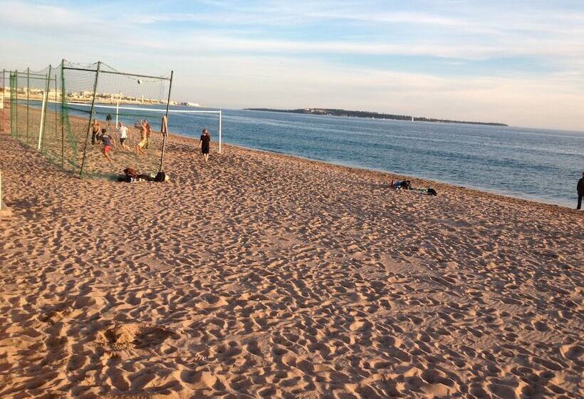 Residence La Palme D Azur Cannes Verrerie