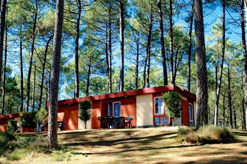 דירת נופש Les Villages Sous Les Pins