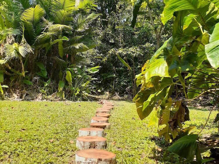 هاستل Tambopata Guest House