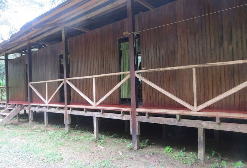 هاستل Tambopata Guest House