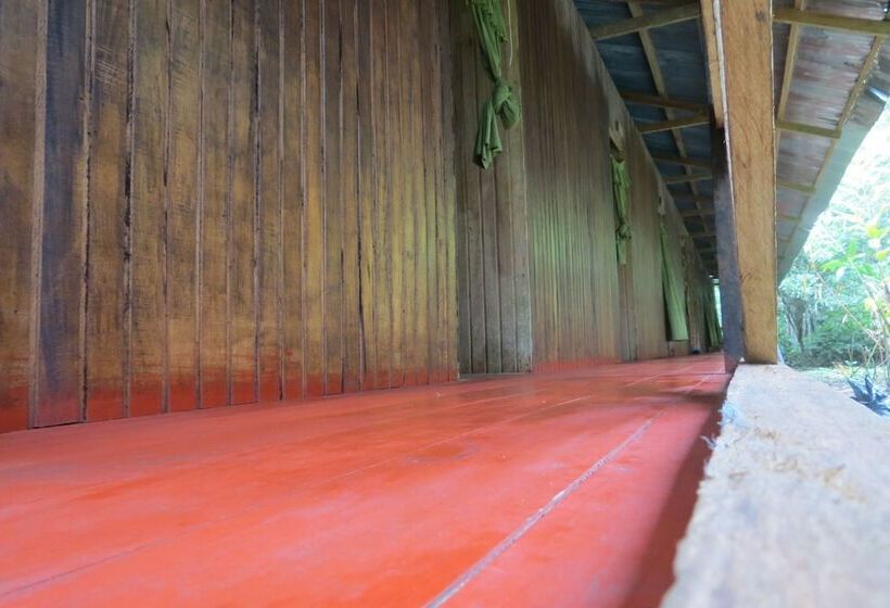 هاستل Tambopata Guest House