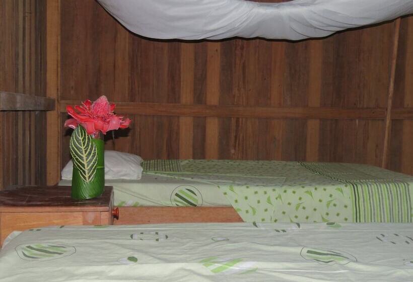 هاستل Tambopata Guest House