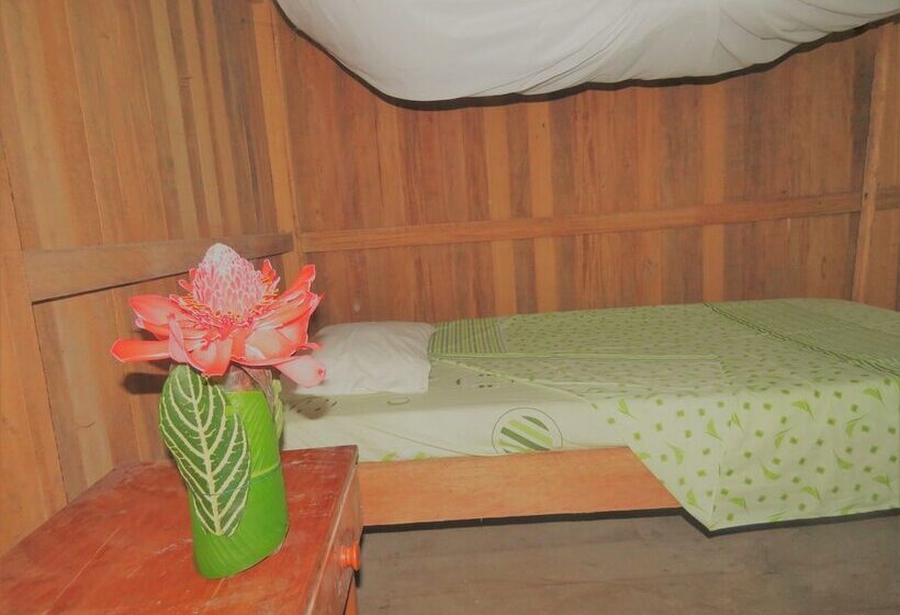 هاستل Tambopata Guest House