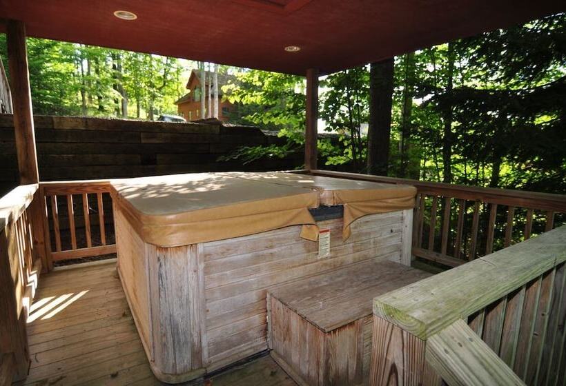 Bear`s Den Northface