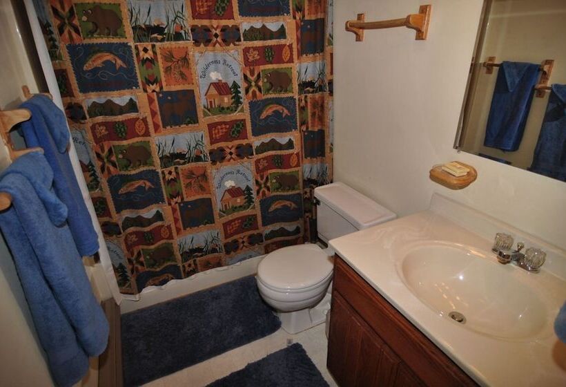 Bear`s Den Northface