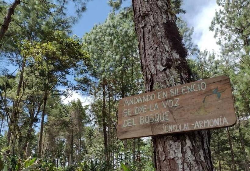 ベッドアンドブレックファースト Cabañas Junkolal