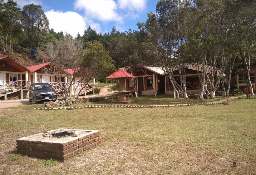 ベッドアンドブレックファースト Cabañas Junkolal