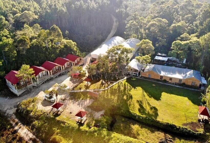 ベッドアンドブレックファースト Cabañas Junkolal