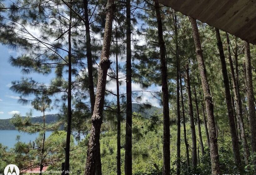 ベッドアンドブレックファースト Cabañas Junkolal