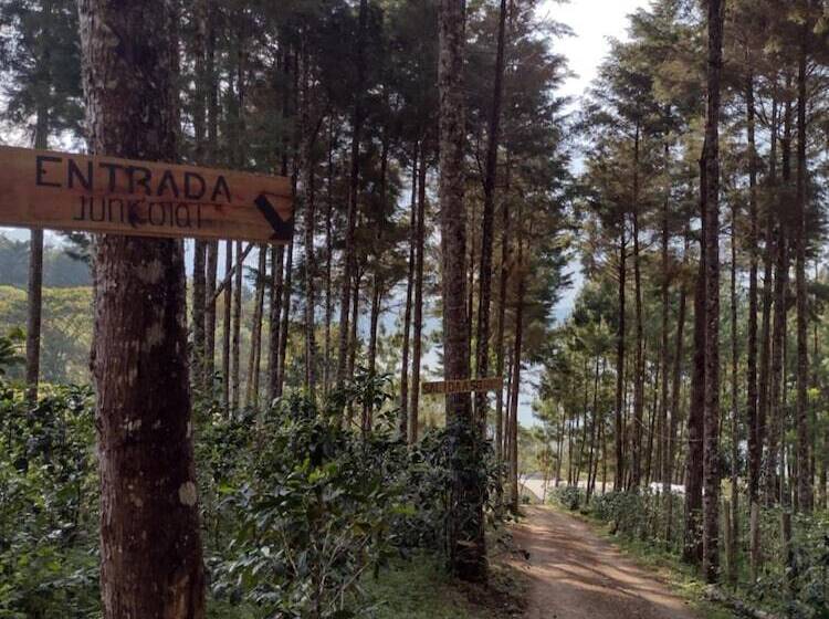 ベッドアンドブレックファースト Cabañas Junkolal