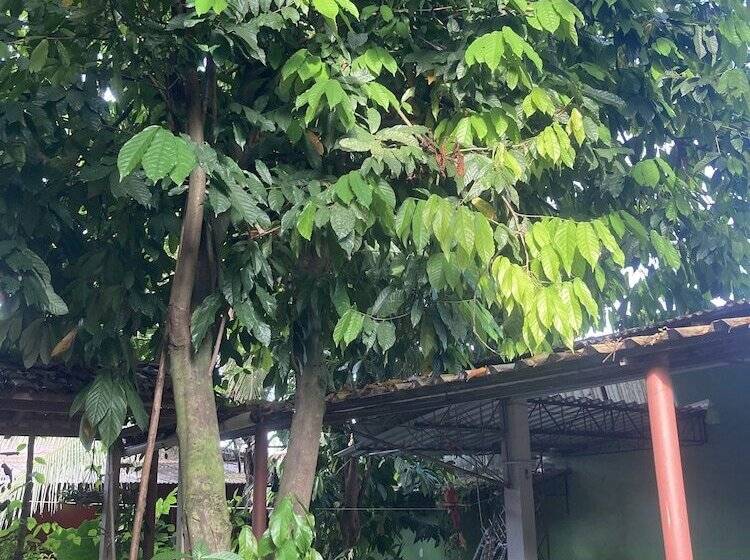 민박 Pousada Nossa Casa Cama & Café