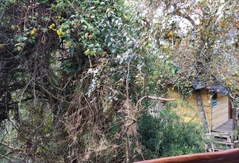 تختخواب و صبحانه Termas El Pantanal