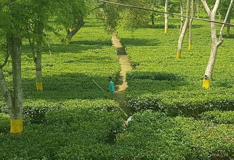 تختخواب و صبحانه Homestay By The Tea Garden Dibrugarh