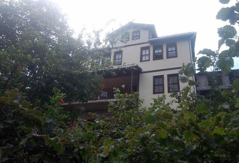 צימר Zaga Konagi