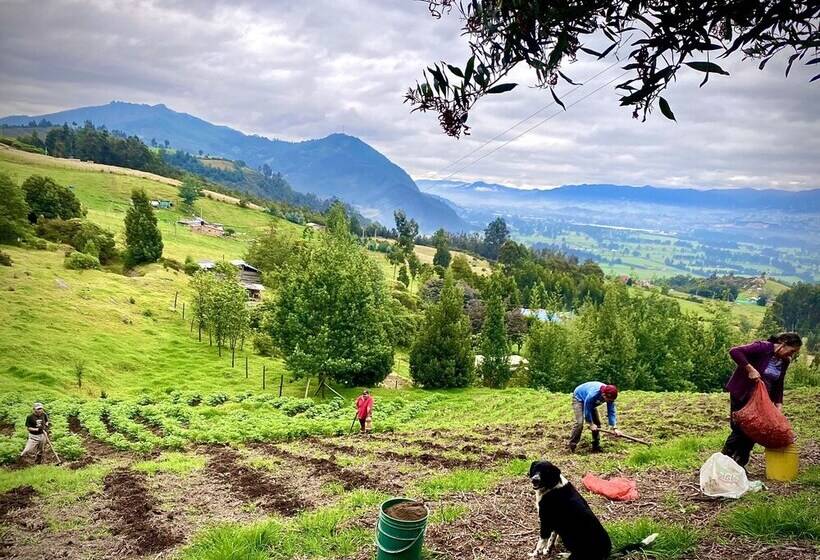 Cabaña Agrreste Bed & Breakfast