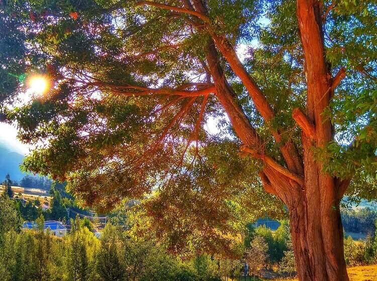 Cabaña Agrreste Bed & Breakfast