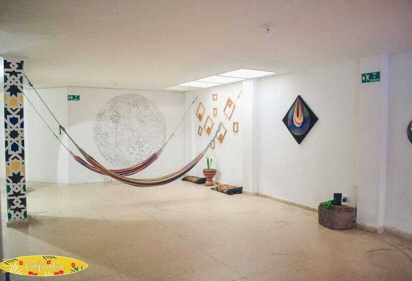 Casa Tropicalia   Hostel
