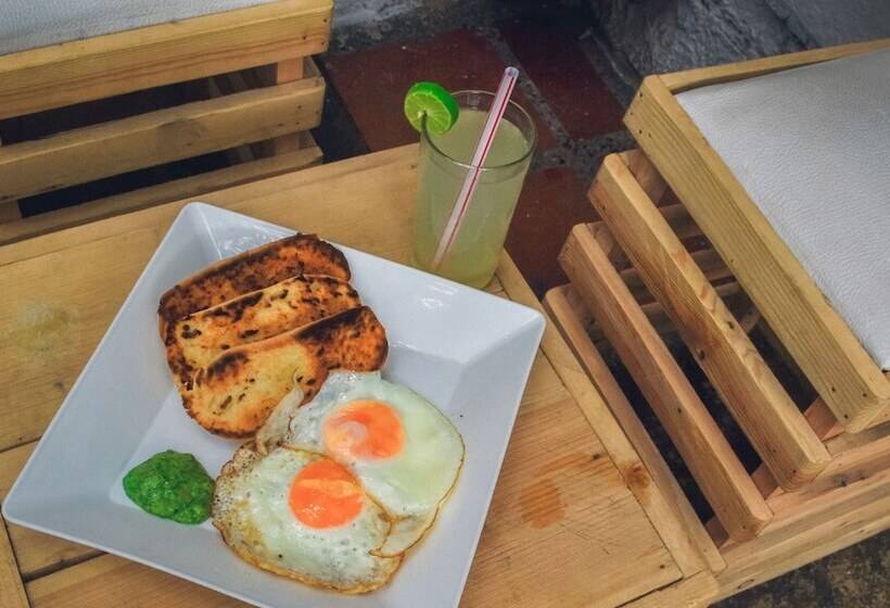 Casa Tropicalia   Hostel