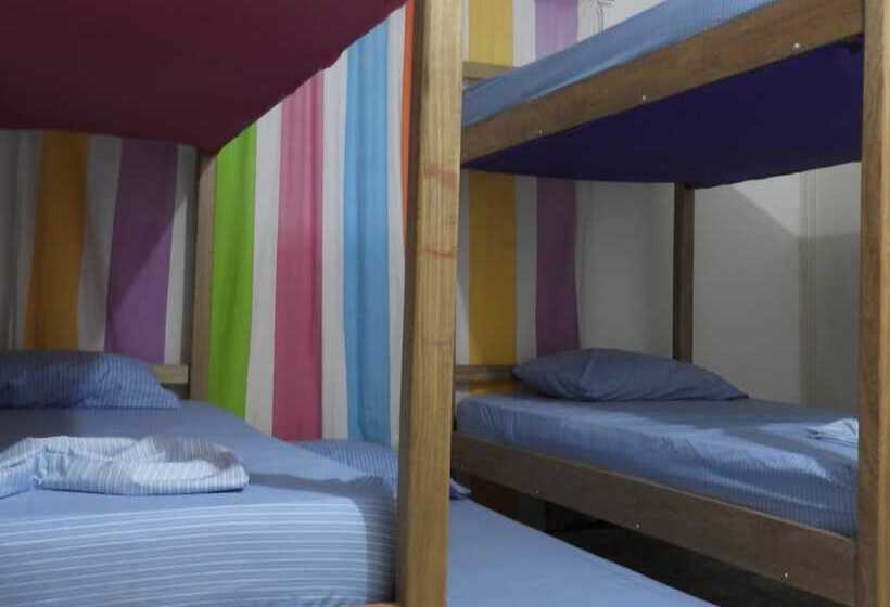 Casa Tropicalia   Hostel