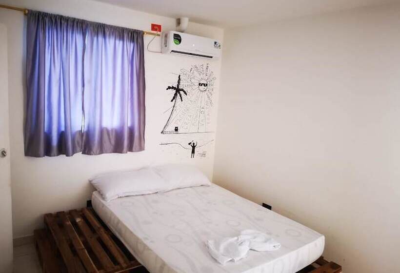 Casa Tropicalia   Hostel
