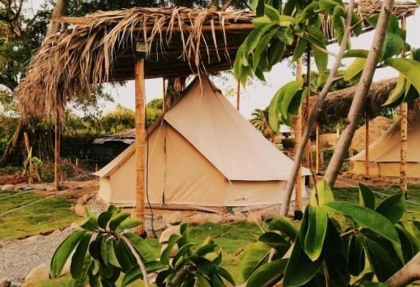 El Zoo Hostel & Pool