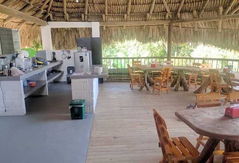 El Zoo Hostel & Pool