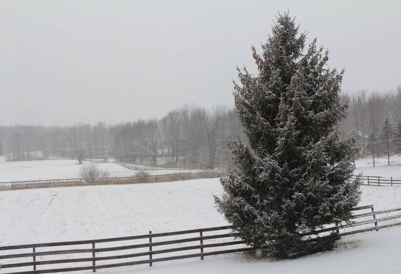 Equestrian House  Log Cabin