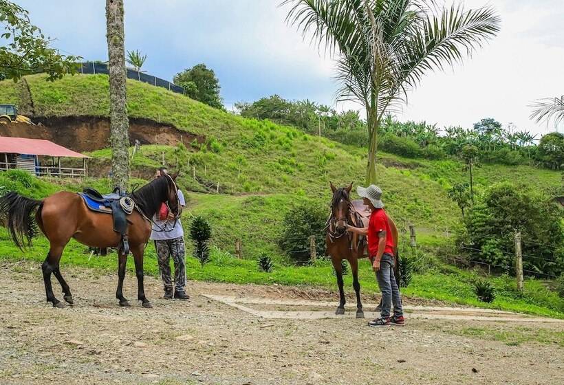 Finca Hotel Los Guayacanes