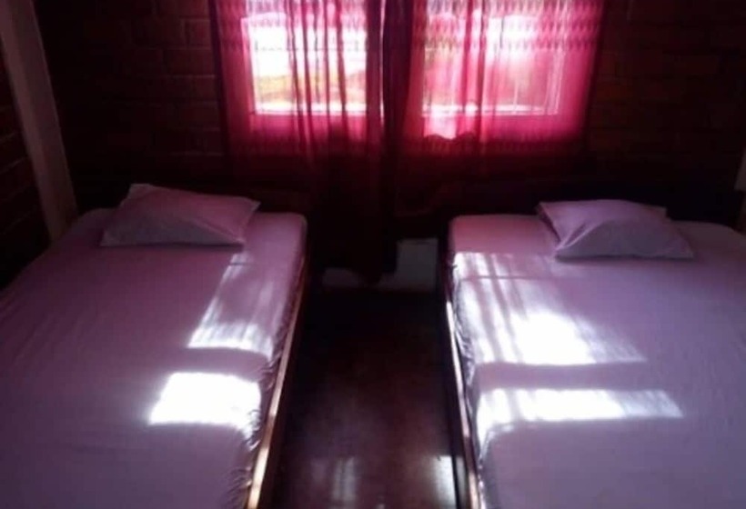 Hospedaje La Carachama Hostel