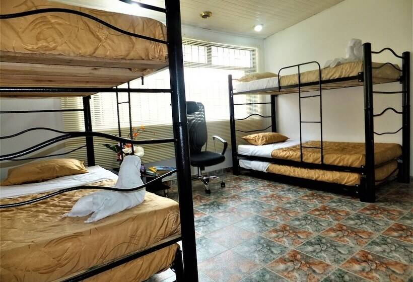 فندق فئة نجمة واحدة Casa Hotel Emanuel