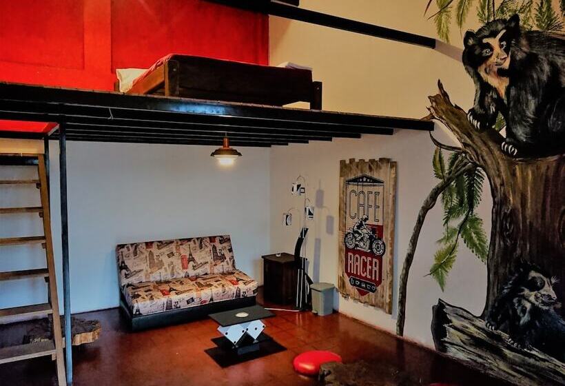 Hostal Cq Candelaria   Hostel