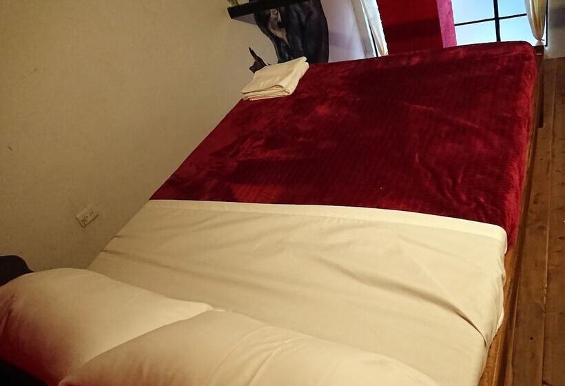 Hostal Cq Candelaria   Hostel